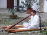 didgeridoo